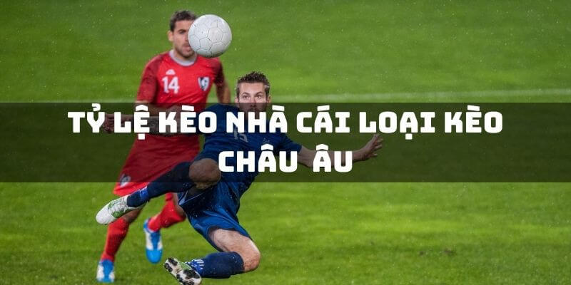 Giải nghĩa kèo Châu Âu tại S66 là gì?